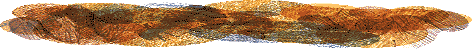 WB00528_1.gif (10335 bytes)