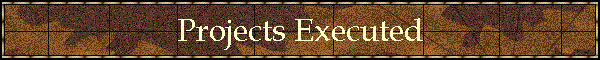 Projects Executed