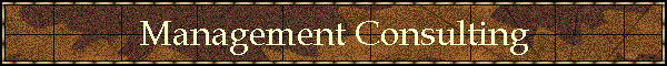 Management Consulting